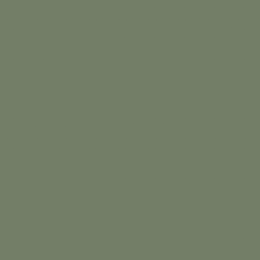 DCS7013 Satin Series THYME 1.2 x 2.4m x 5mm